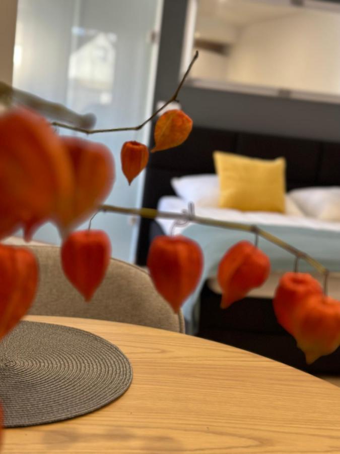 Studio Apartman ケーセグ エクステリア 写真